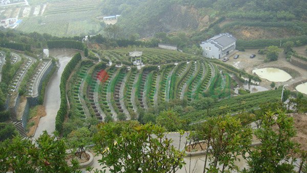 优德88·(中国区)官方网站