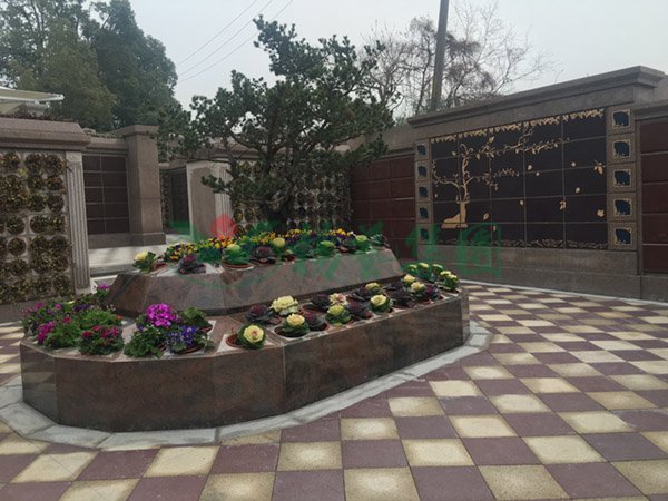 优德88·(中国区)官方网站