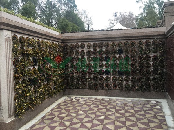 优德88·(中国区)官方网站