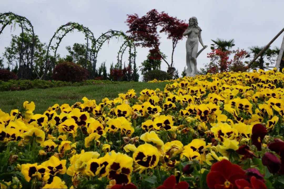 优德88·(中国区)官方网站