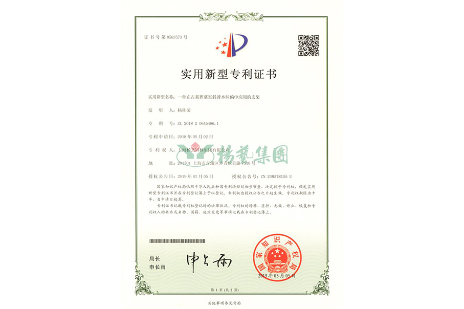 适用新型专利：一种在古墓葬墓室斜撑木纠偏中