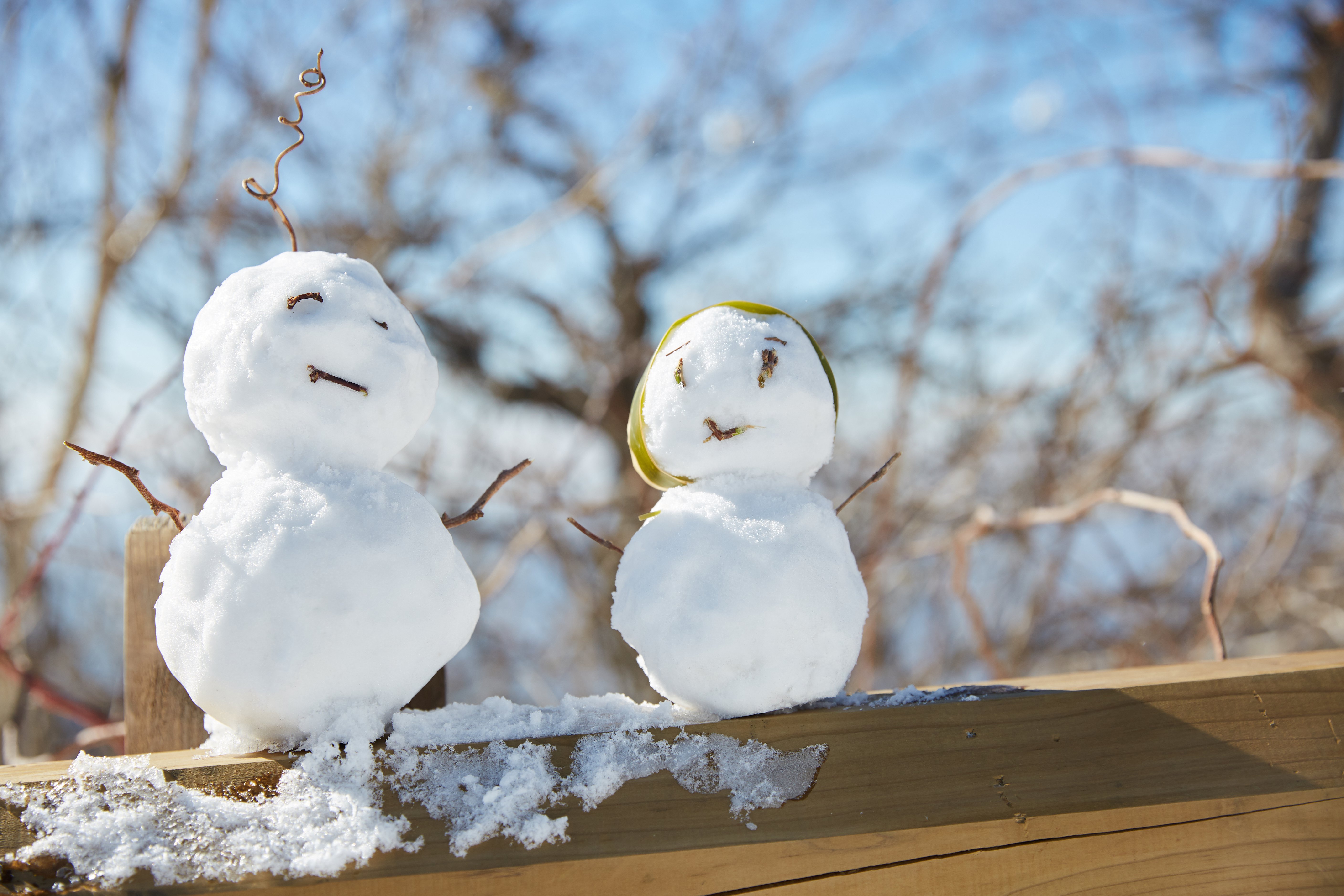 冬至，，，，，，，，暖“杨”相伴 | 优德88人全力配合各墓园冬至落葬