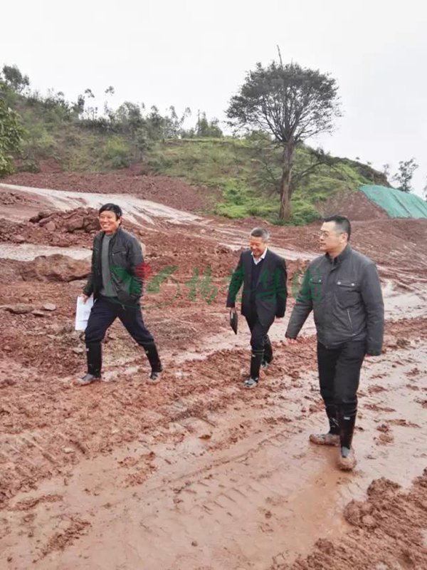 优德88·(中国区)官方网站