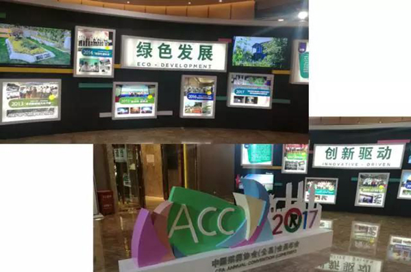 优德88·(中国区)官方网站