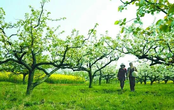 优德88·(中国区)官方网站