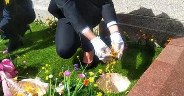 优德88·(中国区)官方网站