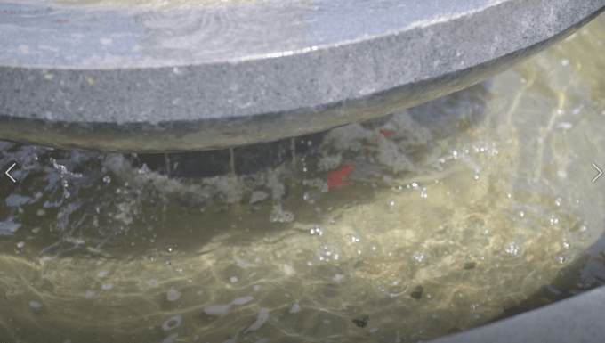 优德88·(中国区)官方网站