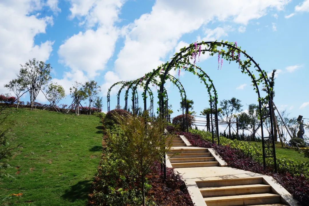 优德88·(中国区)官方网站