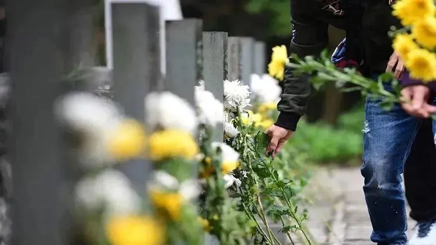 优德88·(中国区)官方网站