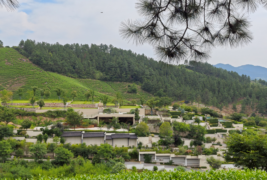 优德88·(中国区)官方网站