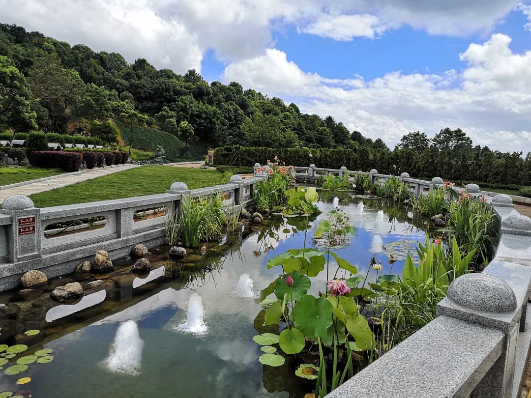 优德88·(中国区)官方网站