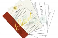 国际认可 | 优德88喜获一项美国发明专利授权