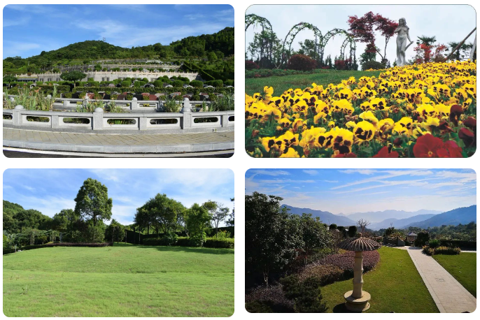 优德88·(中国区)官方网站