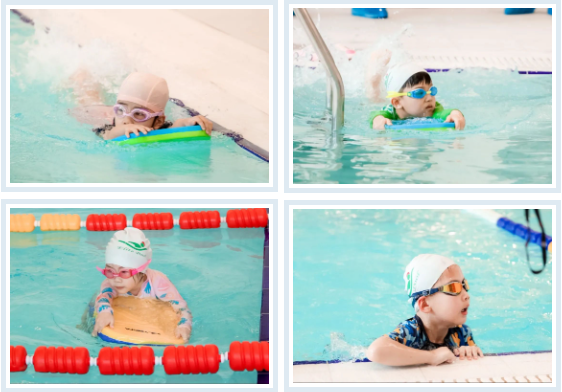 优德88·(中国区)官方网站