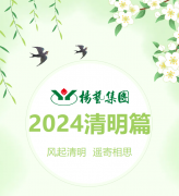 风起清明 遥寄相思|优德88集团?2024清明篇