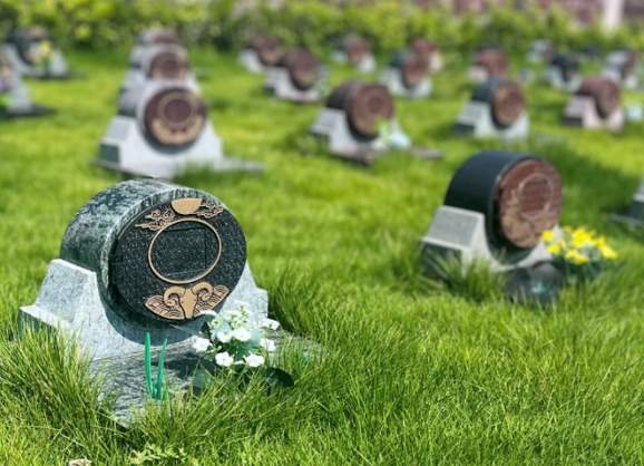 优德88·(中国区)官方网站