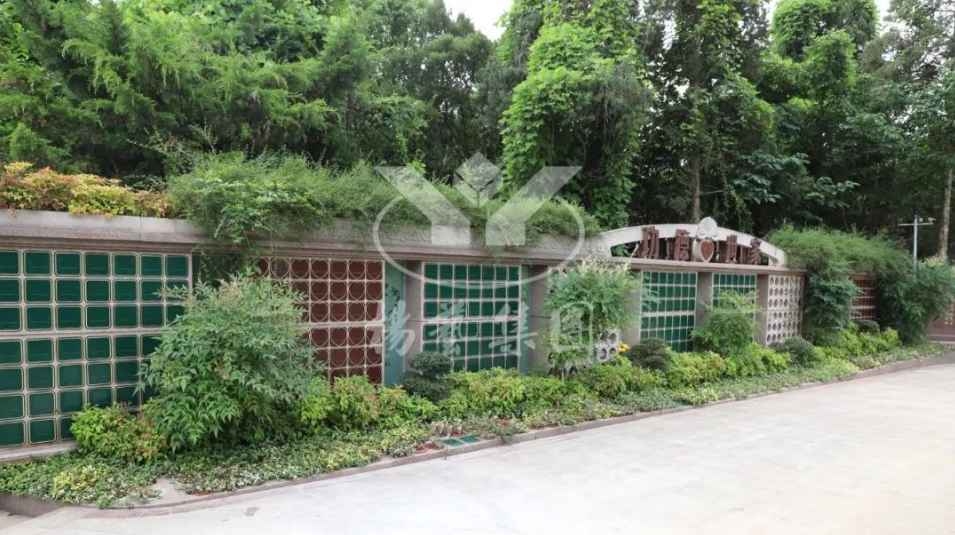 优德88·(中国区)官方网站