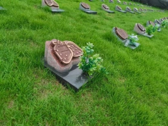 优德88·(中国区)官方网站