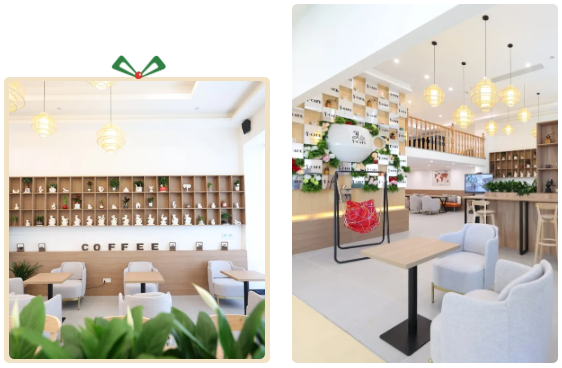 优德88·(中国区)官方网站