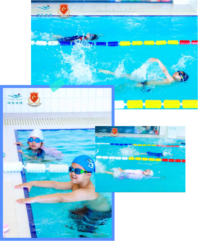 优德88·(中国区)官方网站