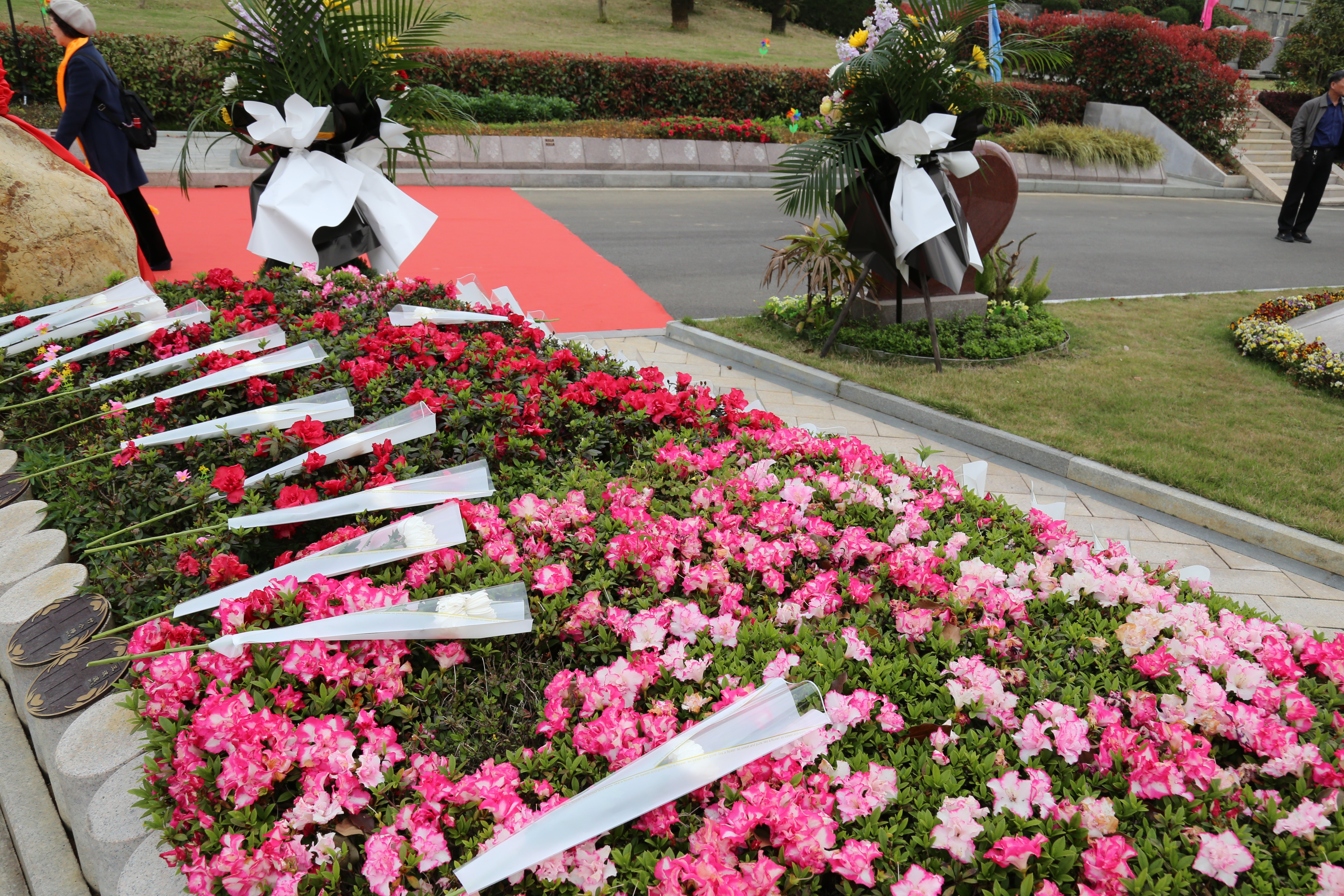 优德88·(中国区)官方网站