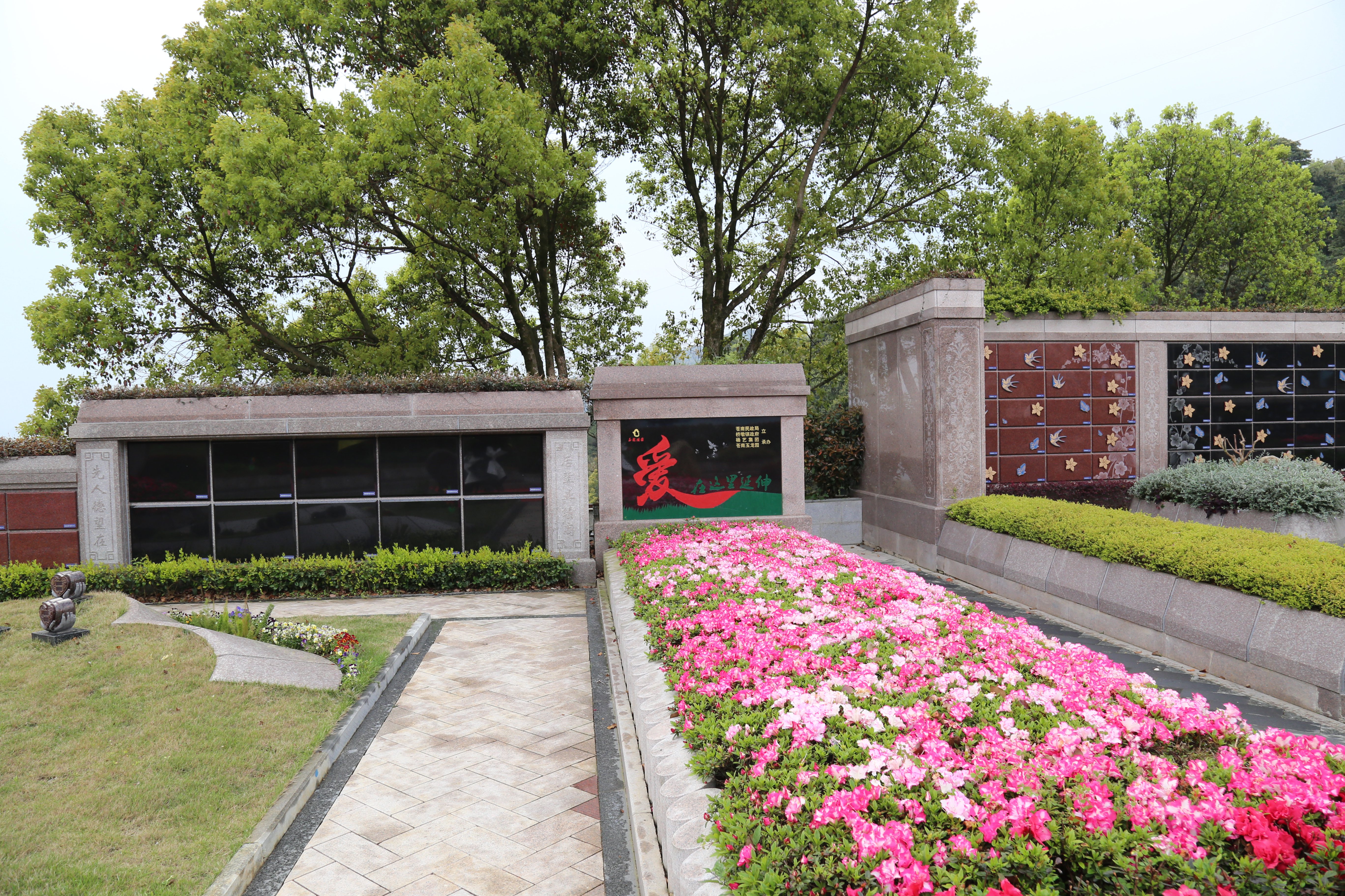 <b>带你相识花葬：环保与浪漫并存的绿色殡葬方法</b>