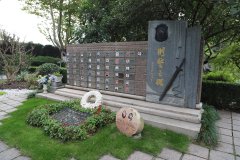 致敬“平安卫士”，，，，，，，，铭刻“刑警之魂”