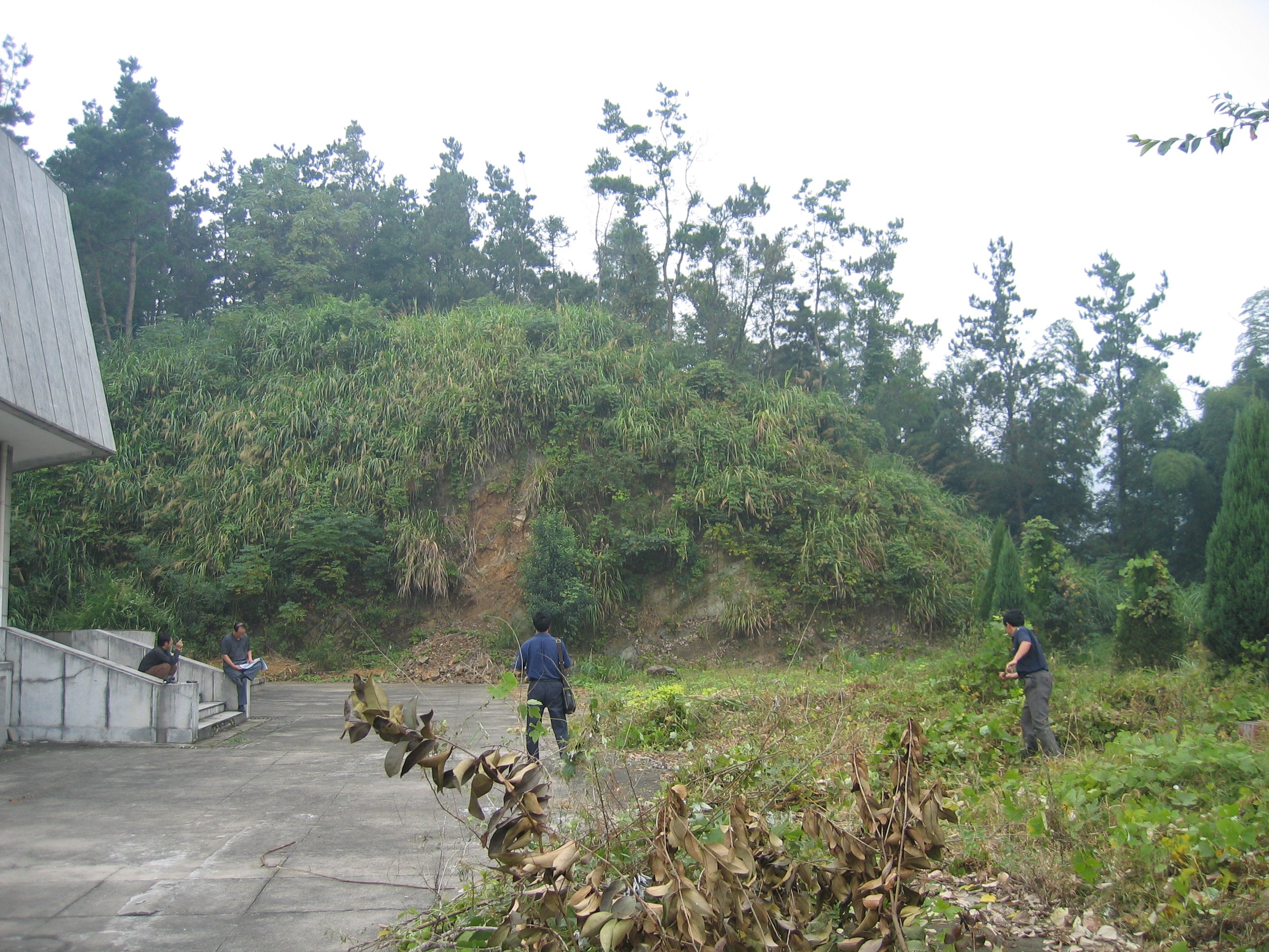 优德88·(中国区)官方网站