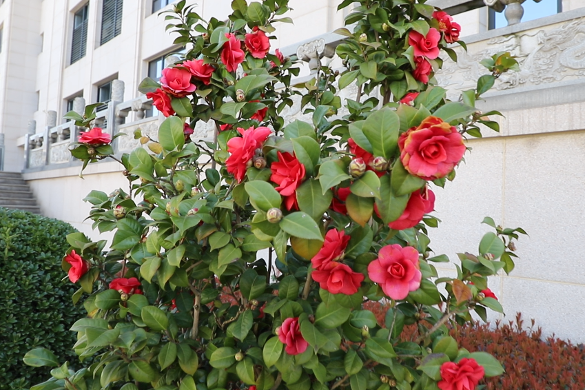 优德88·(中国区)官方网站