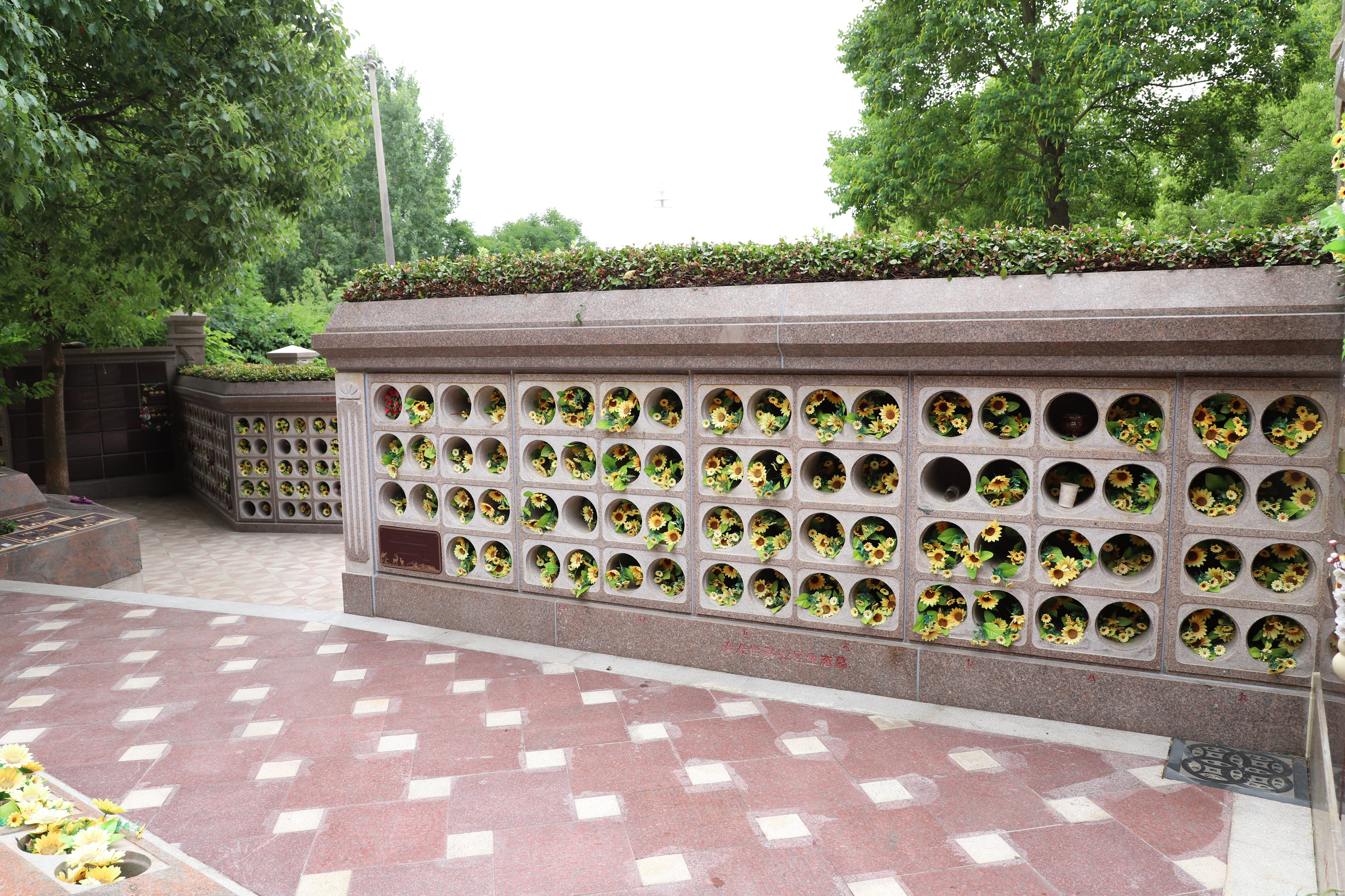 优德88·(中国区)官方网站