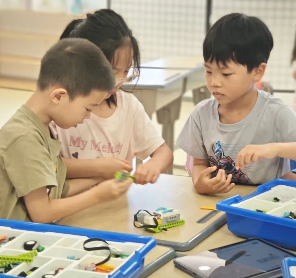 优德88·(中国区)官方网站