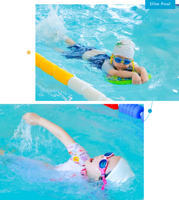 优德88·(中国区)官方网站