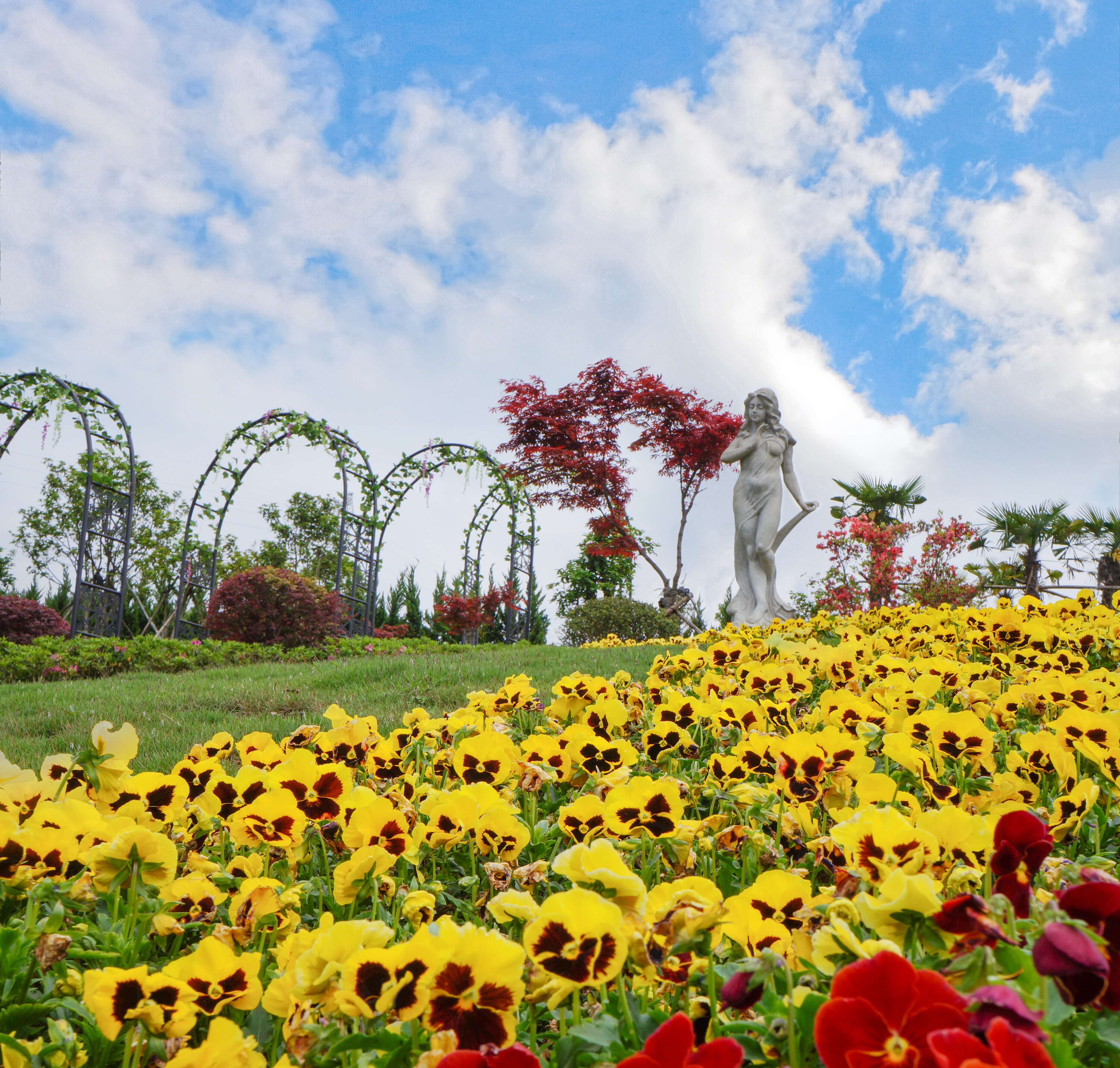 优德88·(中国区)官方网站
