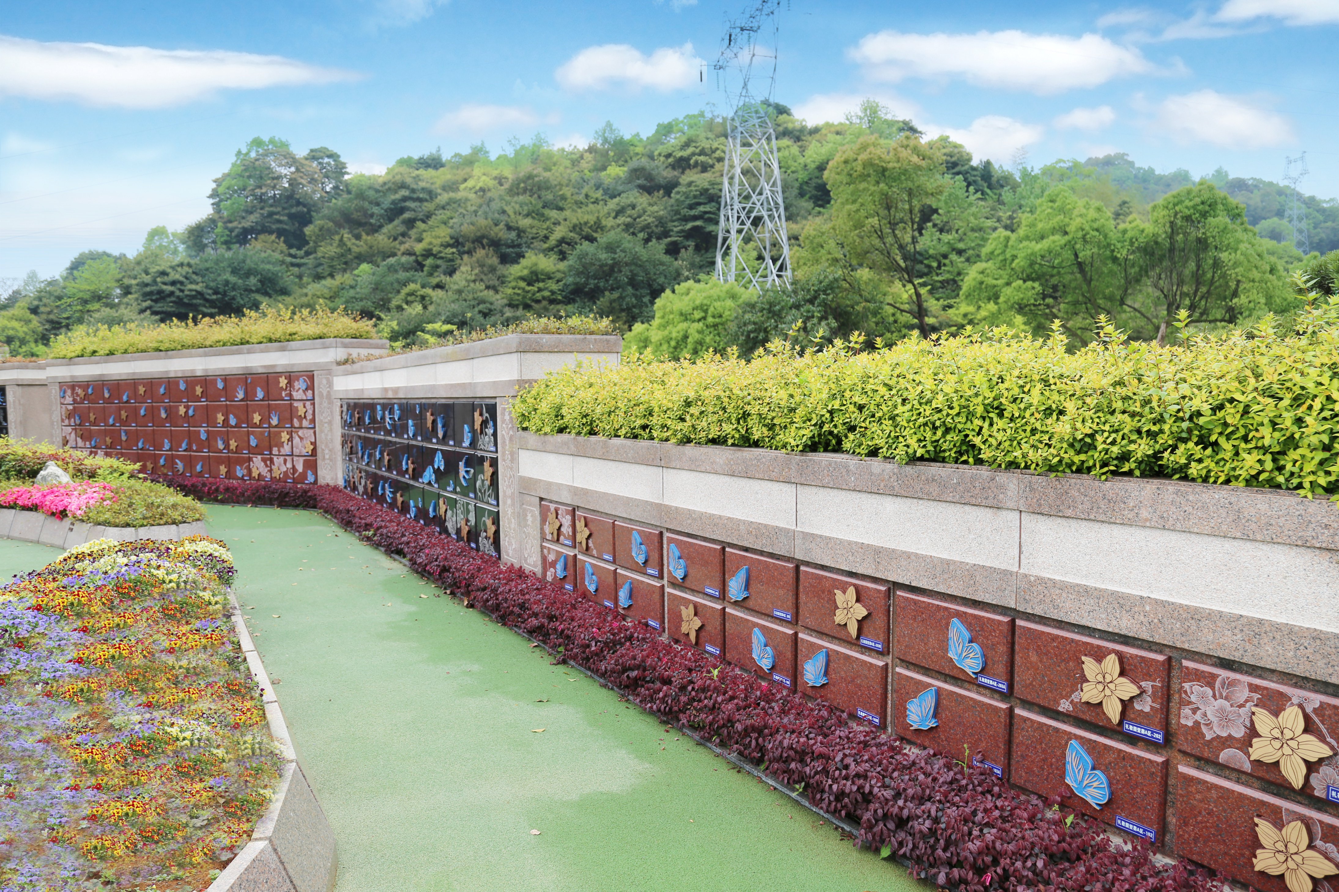 优德88·(中国区)官方网站