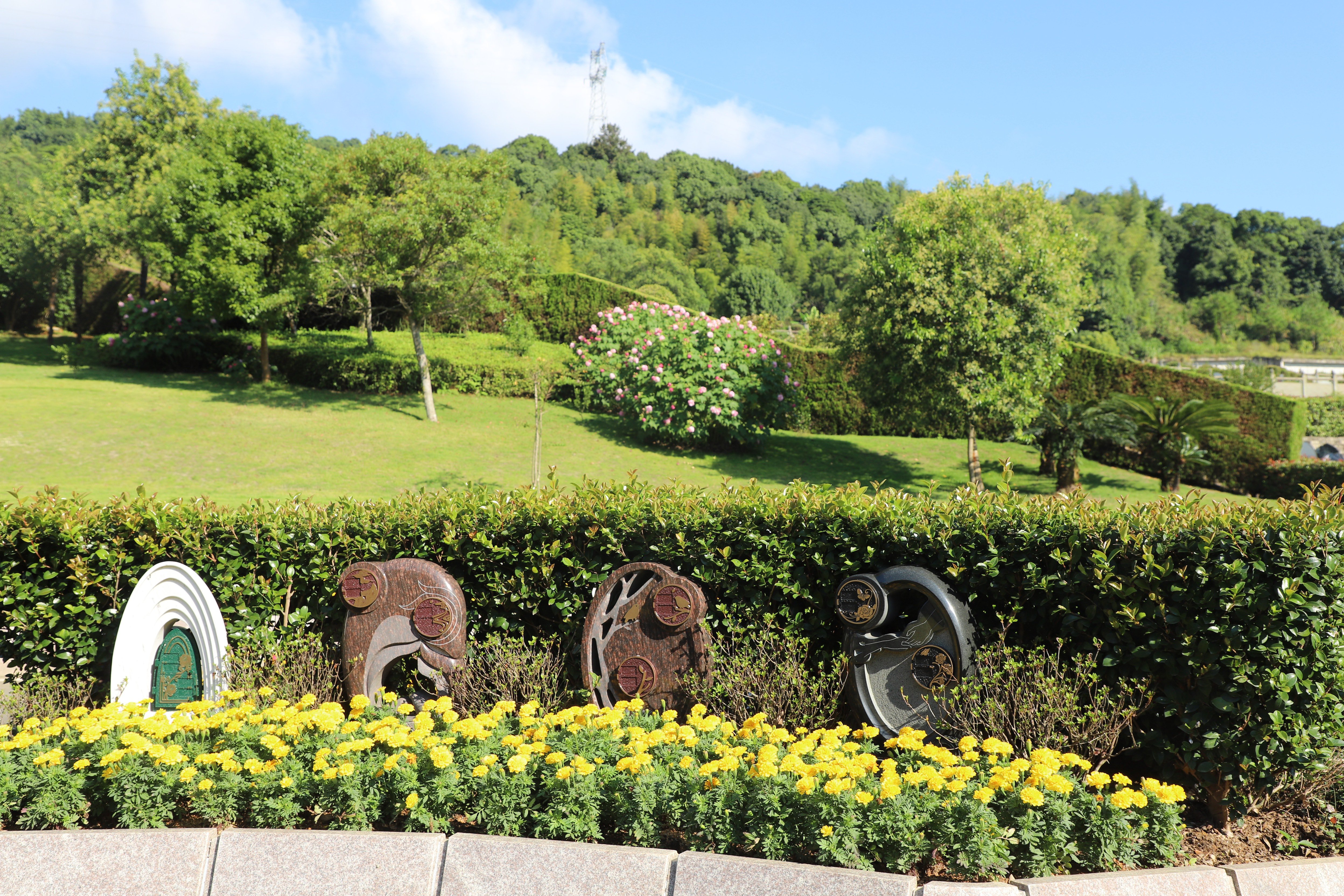 优德88·(中国区)官方网站