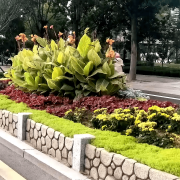 无机仿真石花箱：以永恒之名，，，，，，，塑未来之境